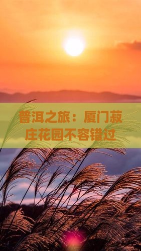 普洱之旅：厦门菽庄花园不容错过的美景