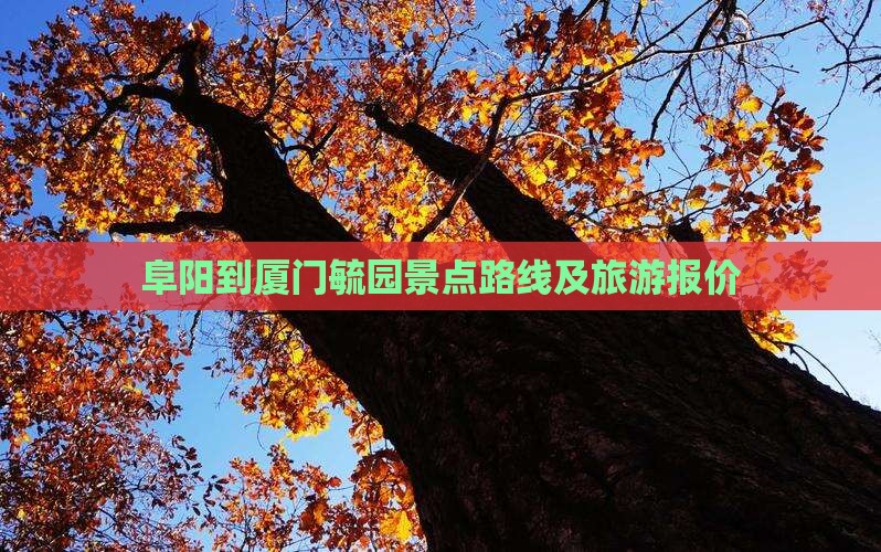 阜阳到厦门毓园景点路线及旅游报价