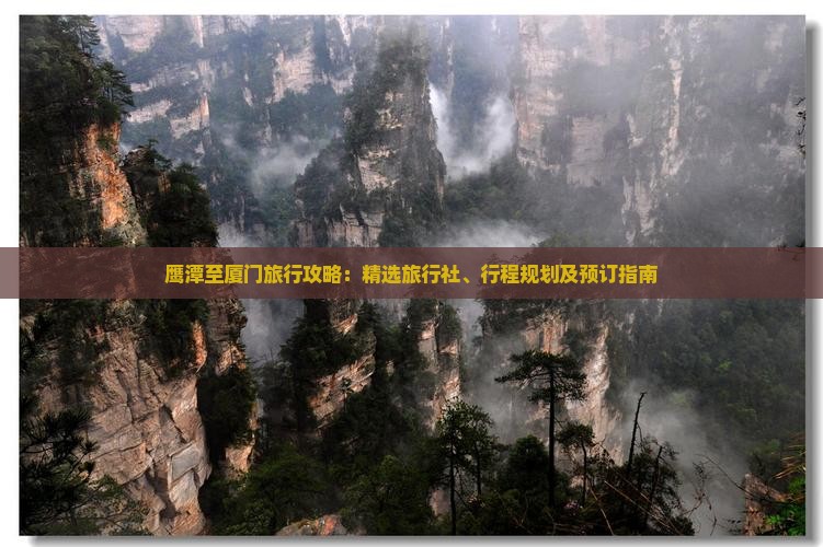 鹰潭至厦门旅行攻略：精选旅行社、行程规划及预订指南