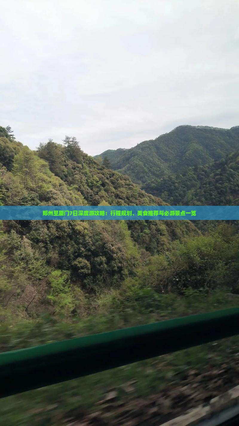郑州至厦门7日深度游攻略：行程规划、美食推荐与必游景点一览