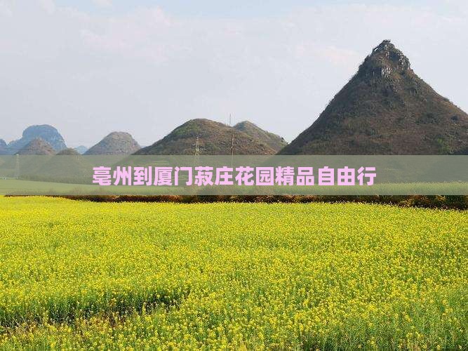 亳州到厦门菽庄花园精品自由行