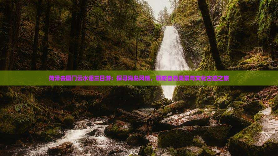 菏泽去厦门云水谣三日游：探寻海岛风情，领略自然美景与文化古迹之旅