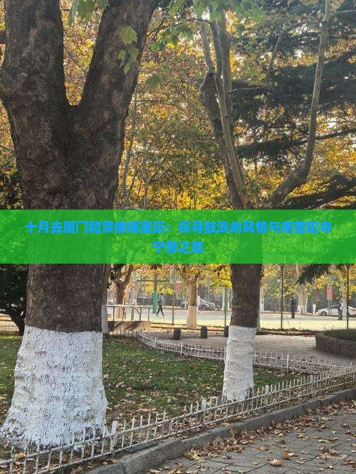 十月去厦门和贵楼哪里玩：探寻鼓浪屿风情与南普陀寺宁静之旅