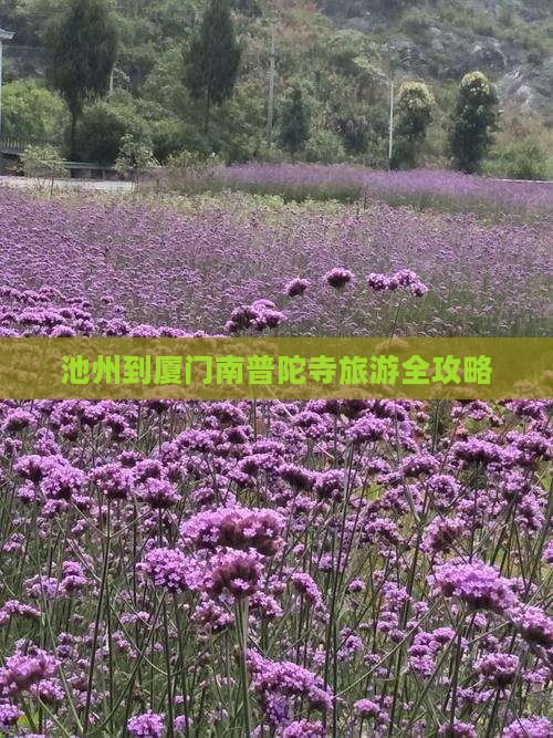 池州到厦门南普陀寺旅游全攻略