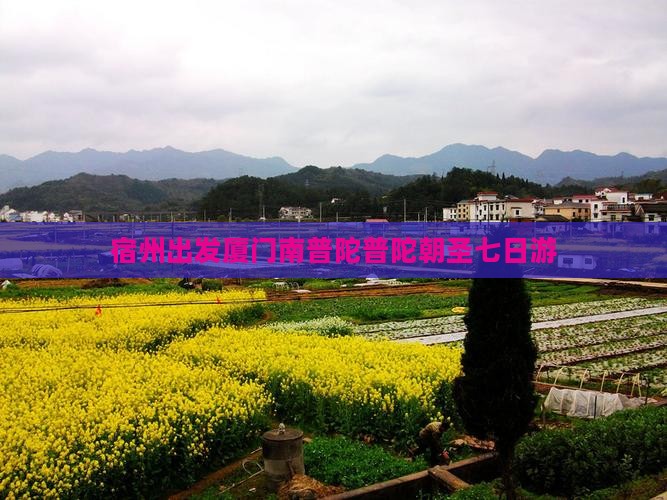 宿州出发厦门南普陀普陀朝圣七日游
