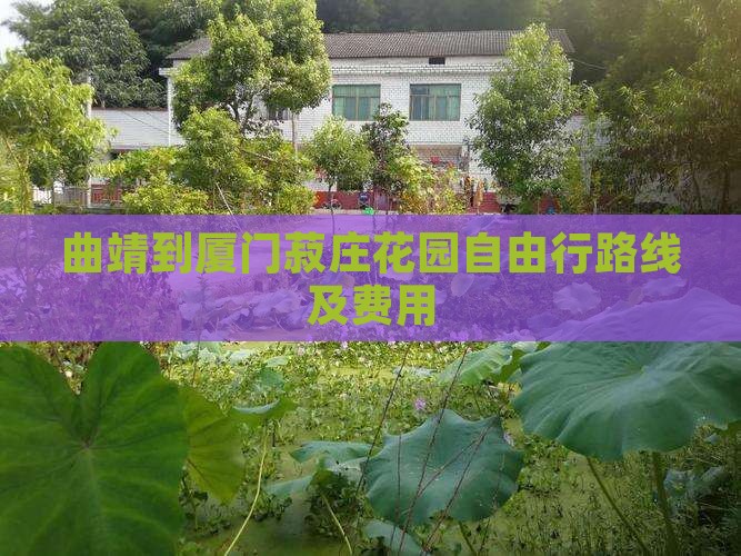 曲靖到厦门菽庄花园自由行路线及费用