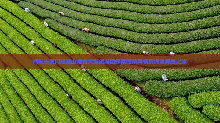 桐城去厦门胡里山炮台大型旅游团探索闽南风情及海滨美景之旅