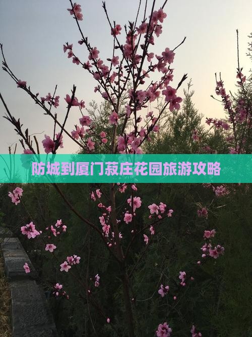 防城到厦门菽庄花园旅游攻略