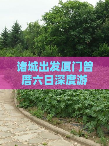 诸城出发厦门曾厝六日深度游