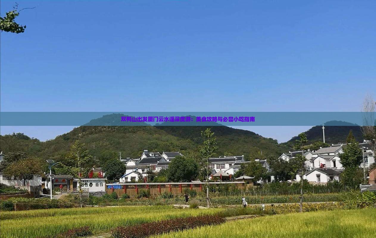 双鸭山出发厦门云水谣深度游：美食攻略与必尝小吃指南