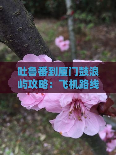 吐鲁番到厦门鼓浪屿攻略：飞机路线及公里数