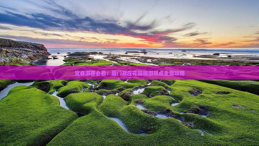 宜春游客必看:厦门菽庄花园旅游景点全面攻略 宜春游客必看:厦门菽庄花园旅游景点全面攻略