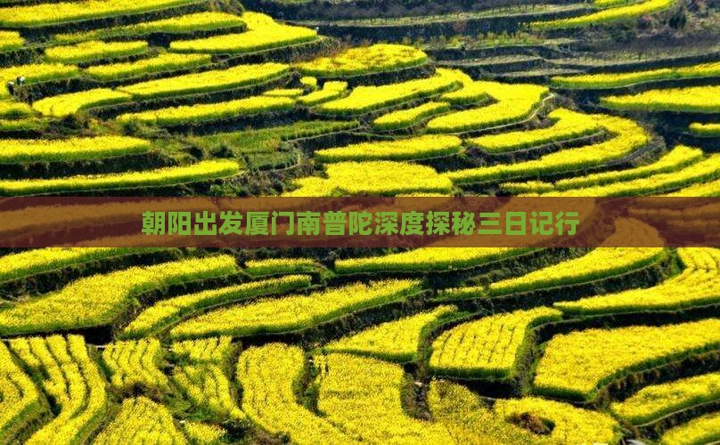 朝阳出发厦门南普陀深度探秘三日记行