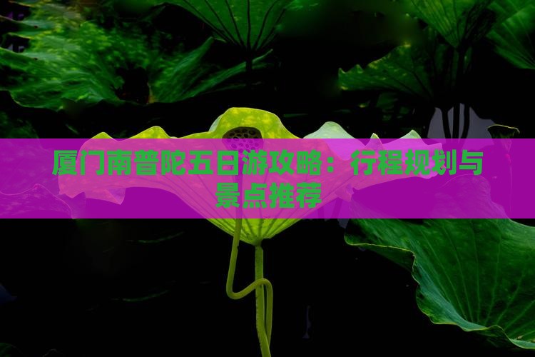 厦门南普陀五日游攻略：行程规划与景点推荐