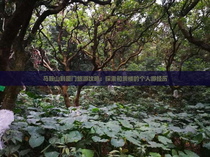 马鞍山到厦门旅游攻略：探索和贵楼的个人游经历