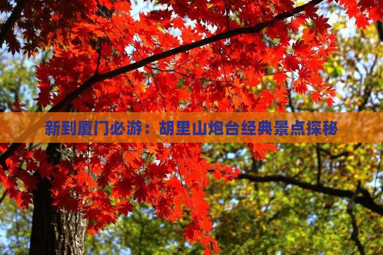 新到厦门必游：胡里山炮台经典景点探秘