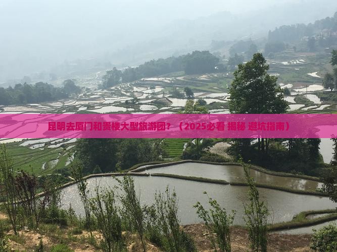 昆明去厦门和贵楼大型旅游团