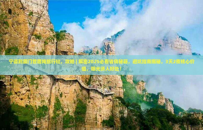 宁德到厦门曾厝埯旅行社