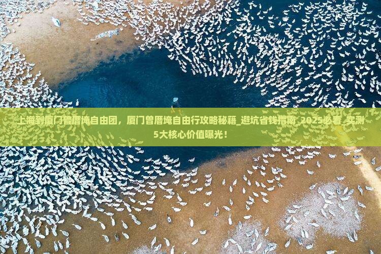 上海到厦门曾厝埯自由团