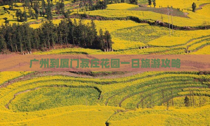 广州到厦门菽庄花园一日