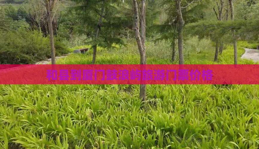 和县到厦门鼓浪屿门票