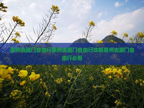 惠州去厦门自由行