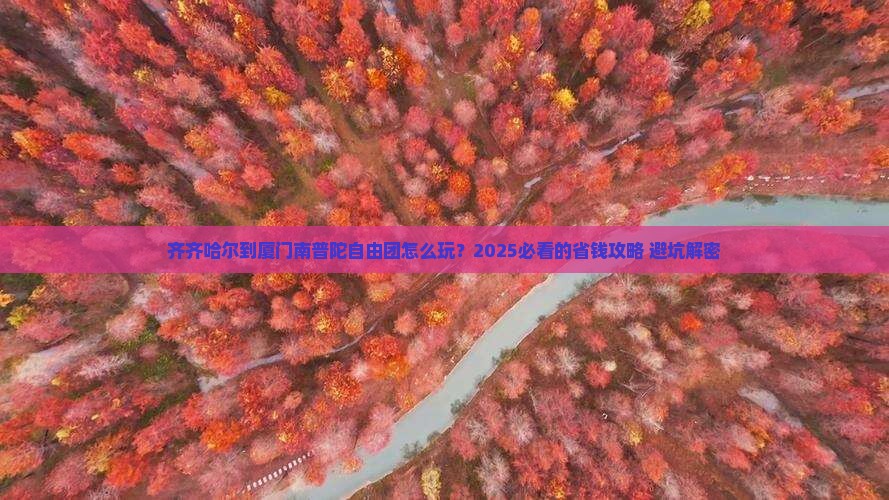 齐齐哈尔到厦门南普陀自由团