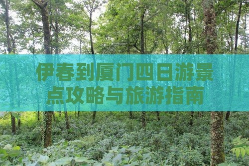 伊春到厦门四日游