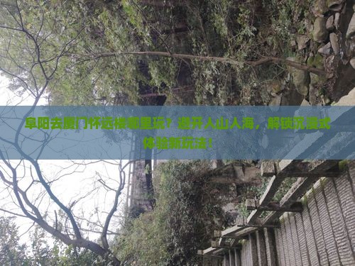 阜阳去厦门怀远楼哪里玩
