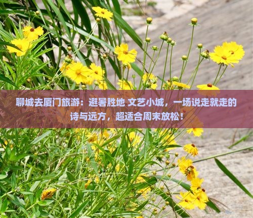 聊城去厦门旅游