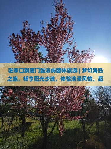 张家口到厦门鼓浪屿团体旅游