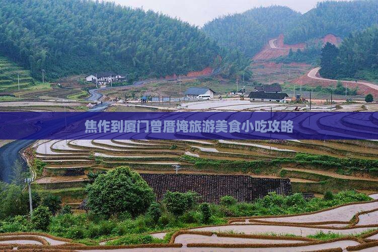 焦作到厦门曾厝埯旅游小吃
