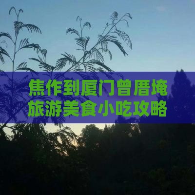 焦作到厦门曾厝埯旅游小吃