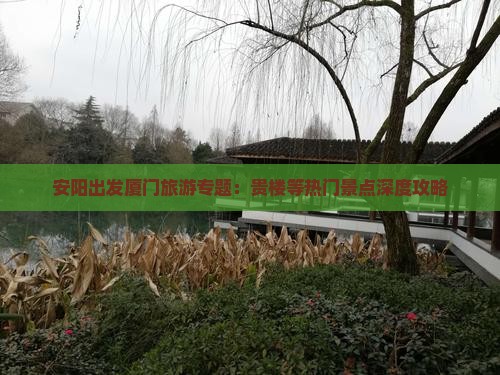 安阳出发厦门旅游专题：贵楼等热门景点深度攻略