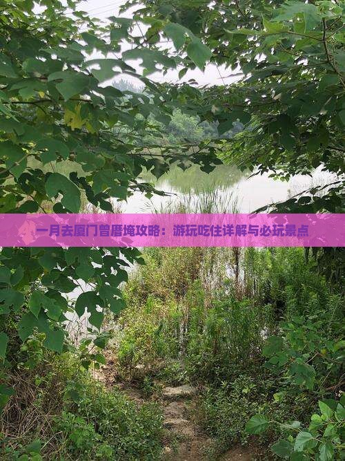 一月去厦门曾厝埯攻略：游玩吃住详解与必玩景点
