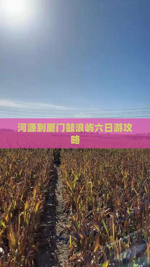河源到厦门鼓浪屿六日游攻略