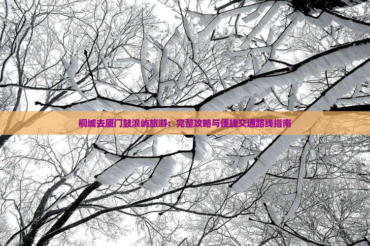 桐城去厦门鼓浪屿旅游：完整攻略与便捷交通路线指南