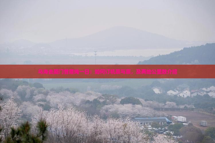 乌海去厦门曾厝埯一日：如何订机票与票，及两地公里数介绍