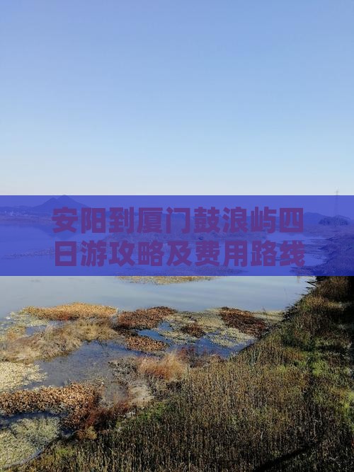 安阳到厦门鼓浪屿四日游攻略及费用路线距离
