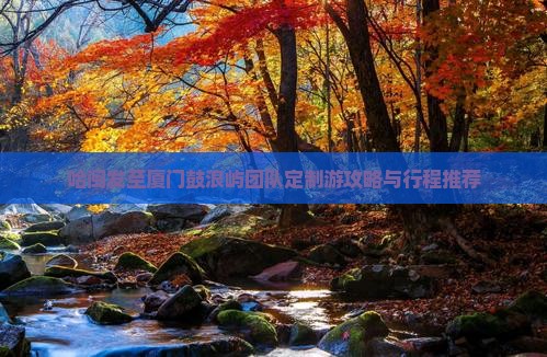 哈闽发至厦门鼓浪屿团队定制游攻略与行程推荐
