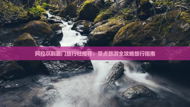阿拉尔到厦门旅行社推荐：景点旅游全攻略旅行指南