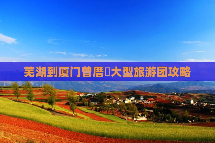 芜湖到厦门曾厝垵大型旅游团攻略