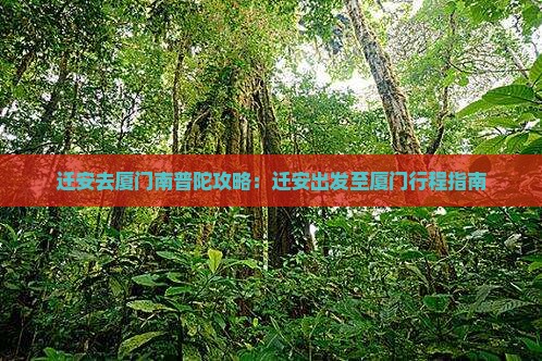 迁安去厦门南普陀攻略：迁安出发至厦门行程指南