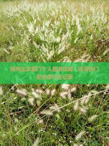 锦州出发厦门个人旅游攻略：探寻热门景点旅行全记录