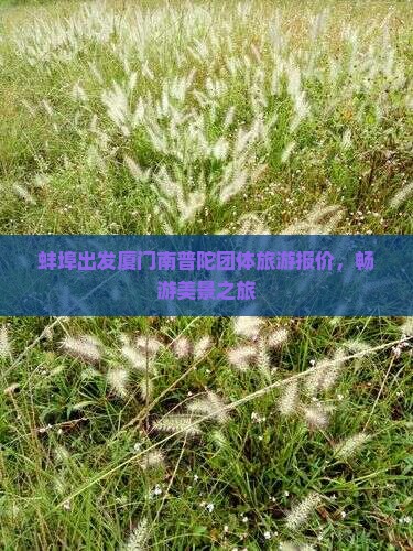 蚌埠出发厦门南普陀团体旅游报价，畅游美景之旅