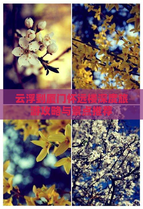 云浮到厦门怀远楼深度旅游攻略与景点推荐