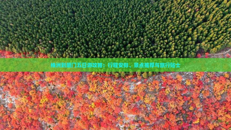 株洲到厦门五日游攻略：行程安排、景点推荐与旅行贴士