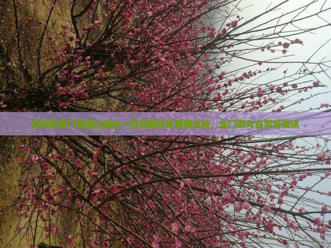 潮州到厦门胡里山炮台一日游路线及费用攻略，含门票与自驾游资讯