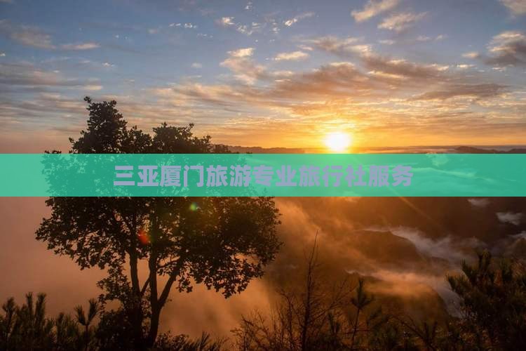 三亚厦门旅游专业旅行社服务