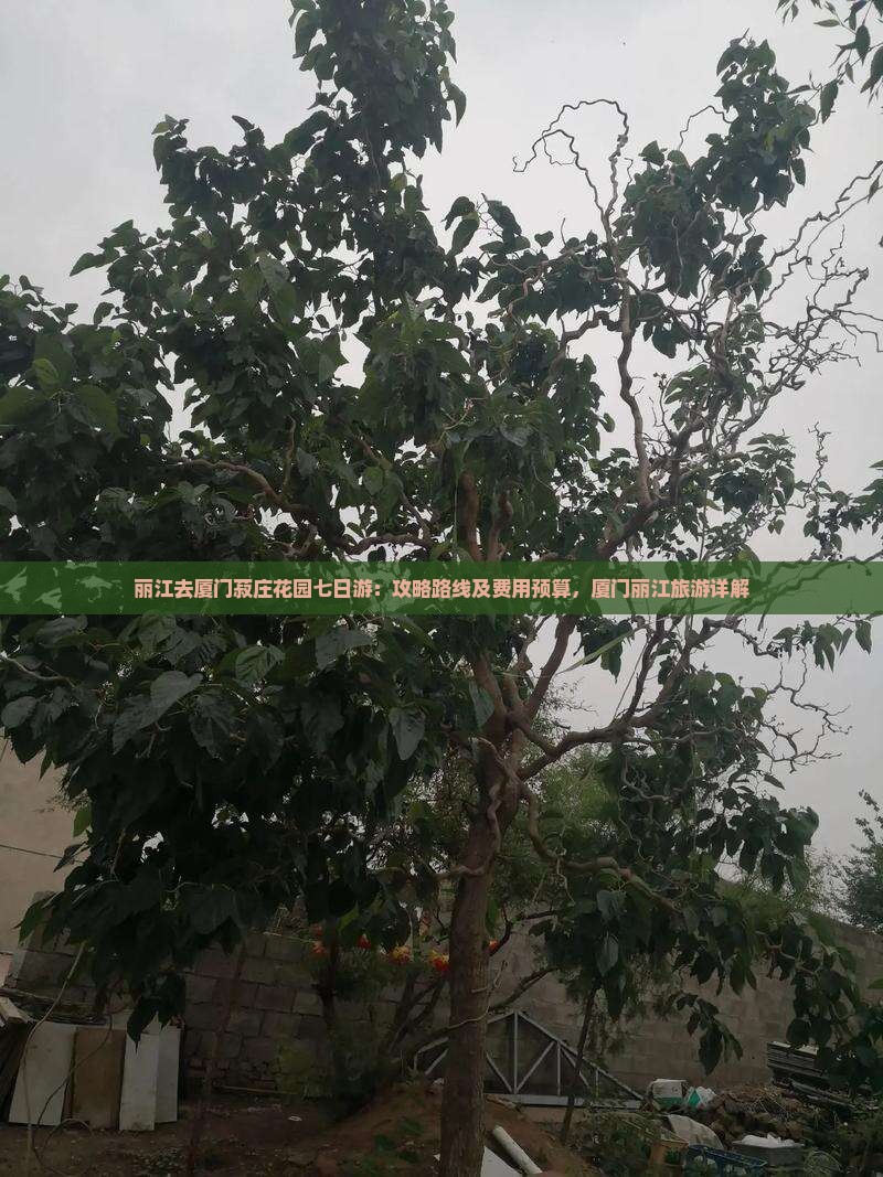 丽江去厦门菽庄花园七日游：攻略路线及费用预算，厦门丽江旅游详解